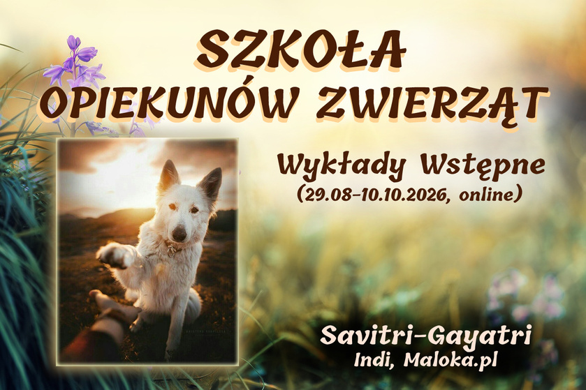 Szkoła Opiekun&oacute;w Zwierząt - Cykl Wykład&oacute;w Wstępnych (29 sierpnia - 18 października 2026)