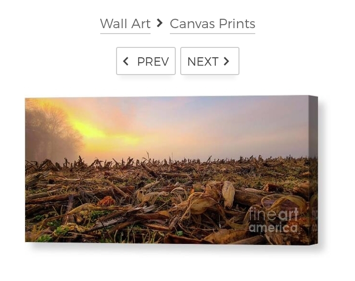post photo preview