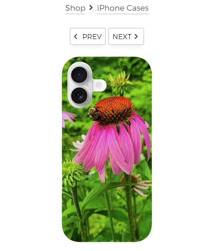post photo preview