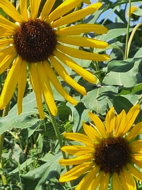 post photo preview