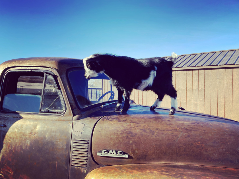post photo preview