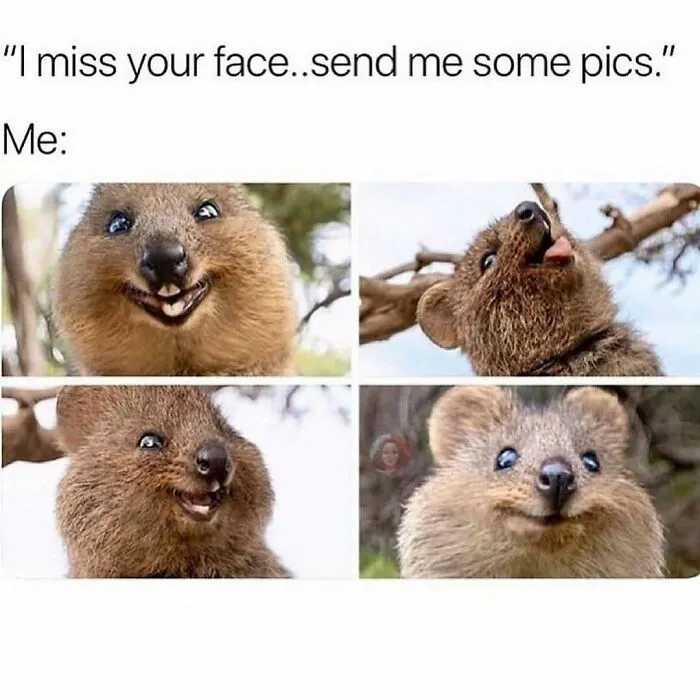 post photo preview