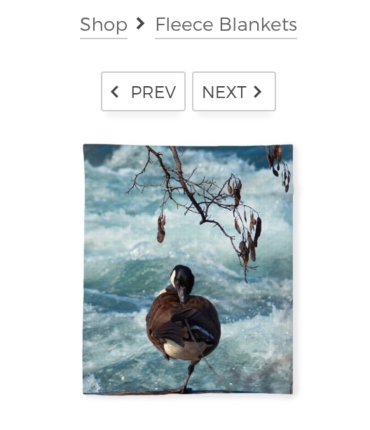 post photo preview
