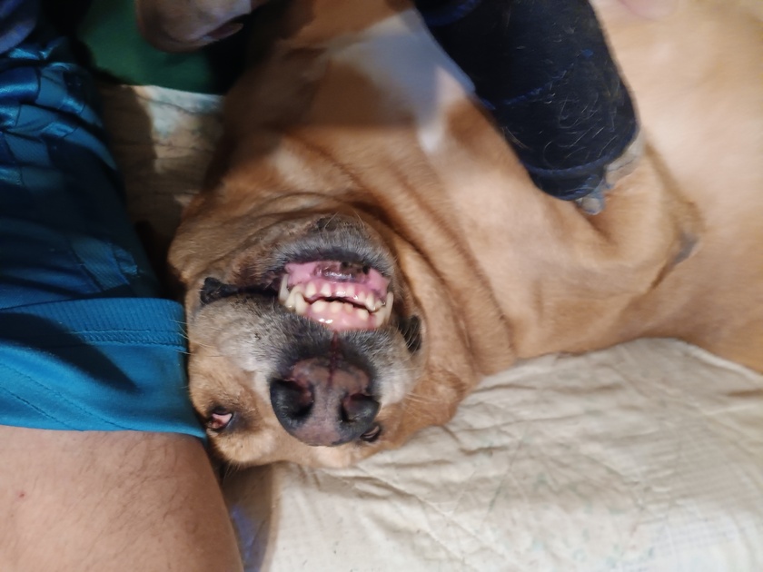 post photo preview