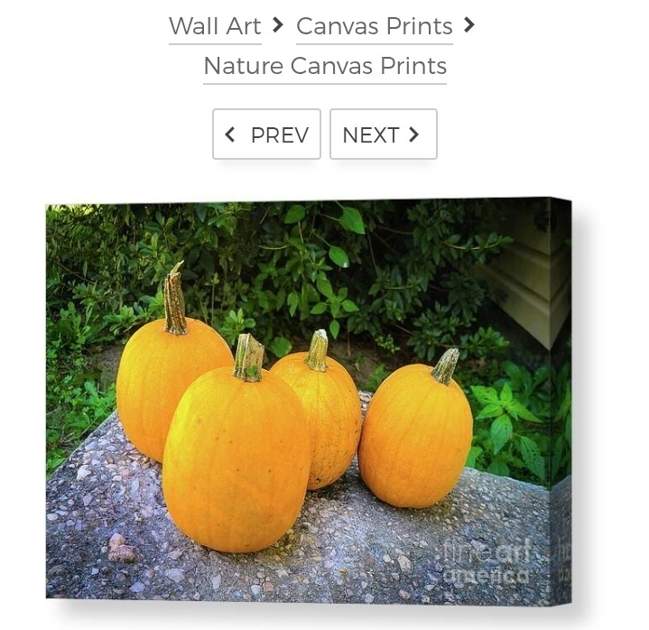 post photo preview