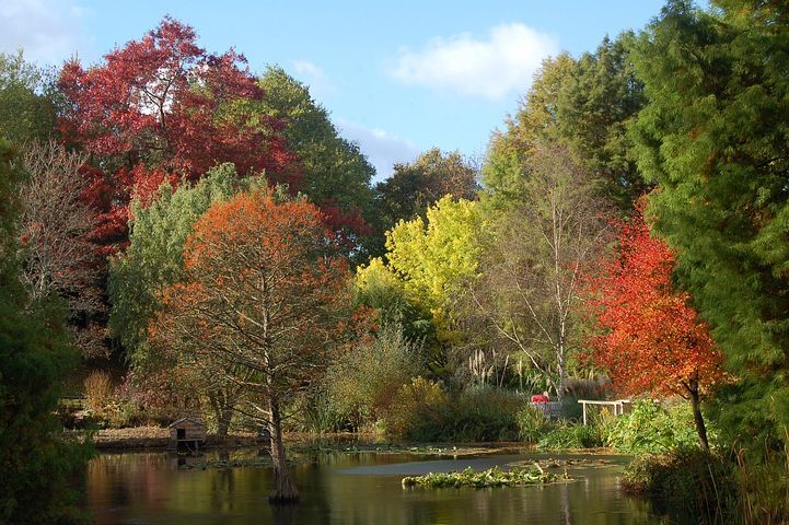 post photo preview