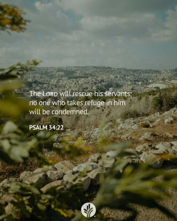 post photo preview