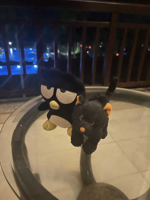 post photo preview