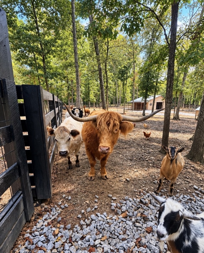 post photo preview