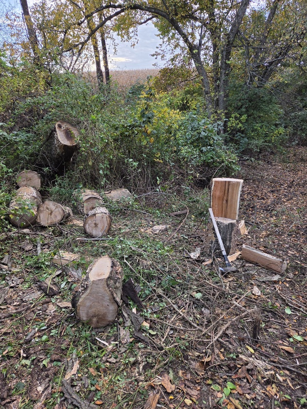 post photo preview