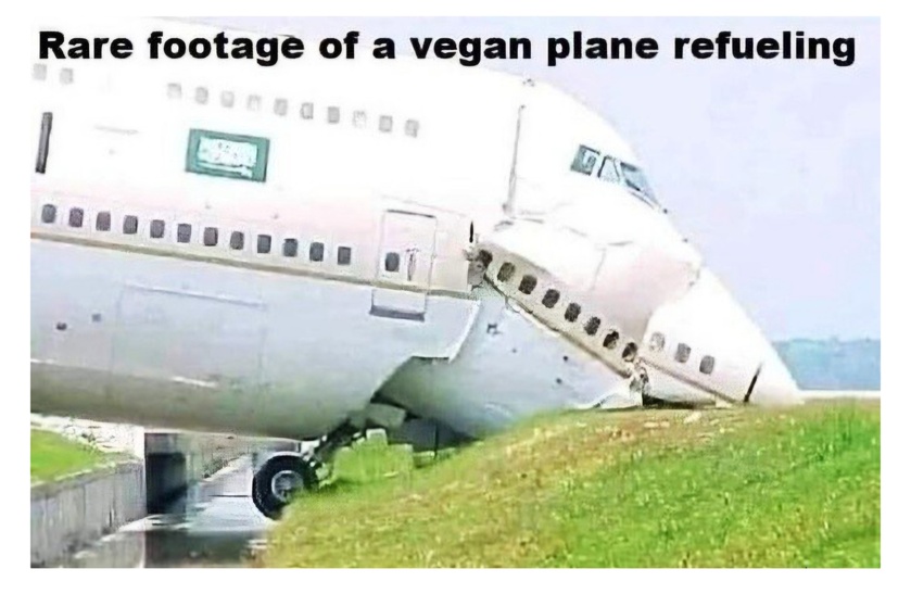 post photo preview