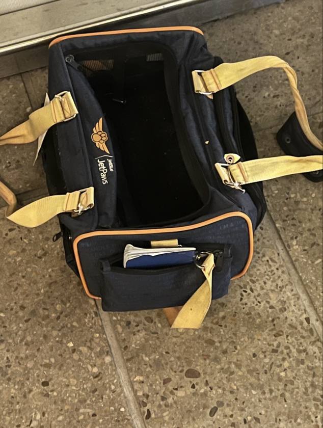 post photo preview