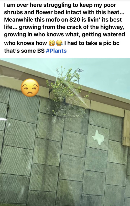 post photo preview