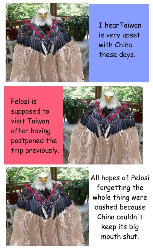 post photo preview