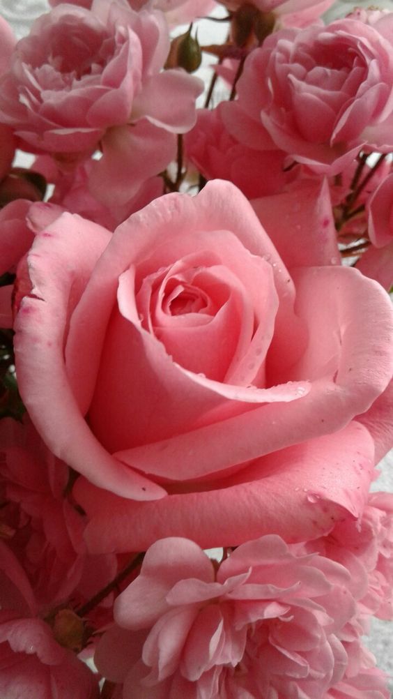 Shared post - Randy Quaid: Hollywood Knows ‘Star Whackers’