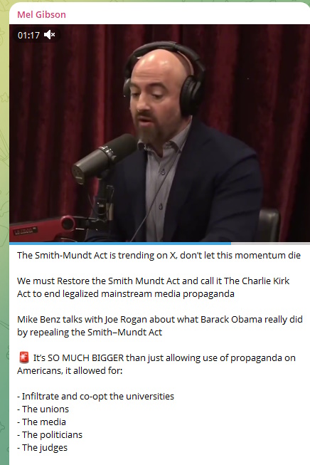 infiltration spy obama law