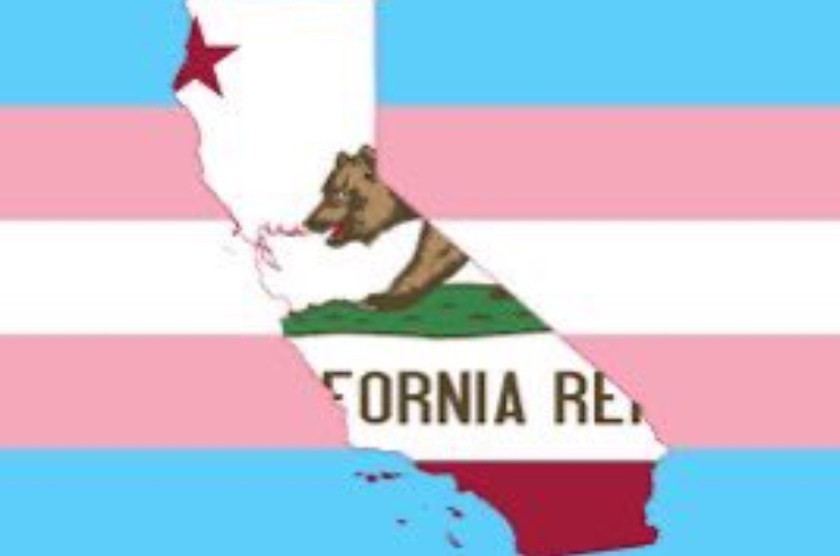 Shared post Transgender History Month