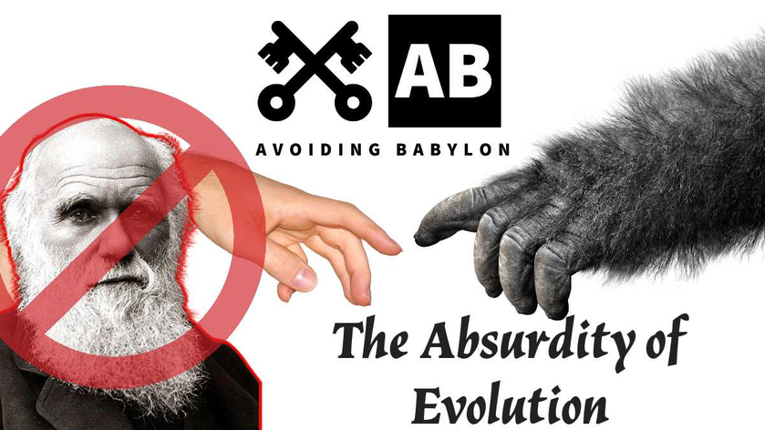 Shared post - The Absurdity of Evolution - w/ Hugh Owen