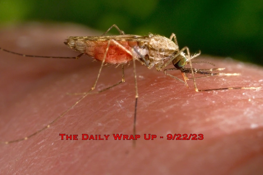 Shared post Obligatory Pesticide Spraying In NYC, GM Mosquitoes