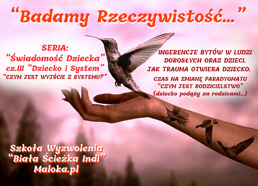 BADAMY RZECZYWISTOŚĆ - SERIA 'Świadomość Dziecka', cz.III 'Dziecko i System' +ŚNIENIE O ...