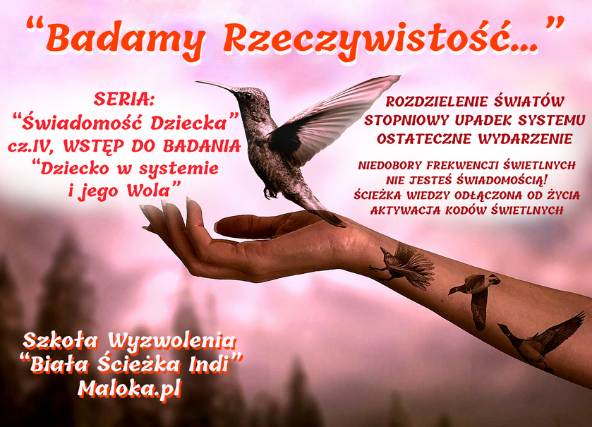 BADAMY RZECZYWISTOŚĆ - SERIA 'Świadomość Dziecka', cz.IV 'Dziecko w systemie i jego WOLA' - ...