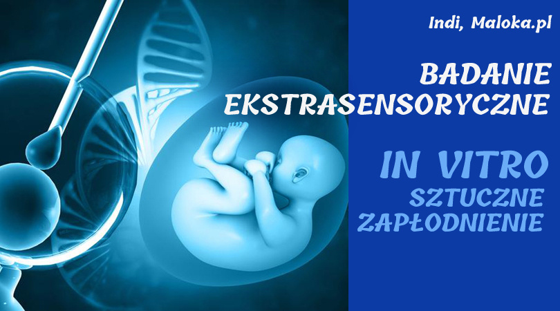 BADANIE EKSTRASENSORYCZNE: In Vitro - Sztuczne Zapłodnienie