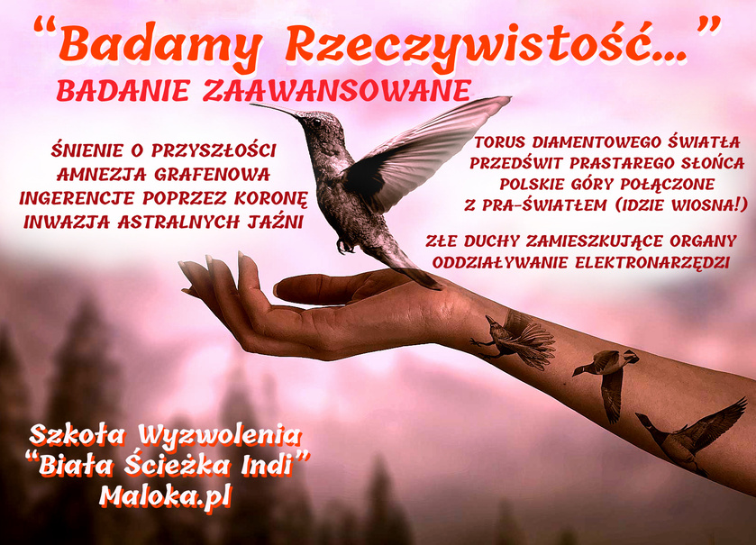 BADAMY RZECZYWISTOŚĆ: Grafenowa Amnezja, Przedświt PraStarego Słońca, Polskie Góry