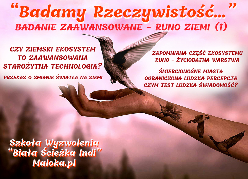 BADAMY RZECZYWISTOŚĆ: 'RUNO ZIEMI' (1): Życiodajna Warstwa, Przekaz o Świetle, Śmiercionośne ...