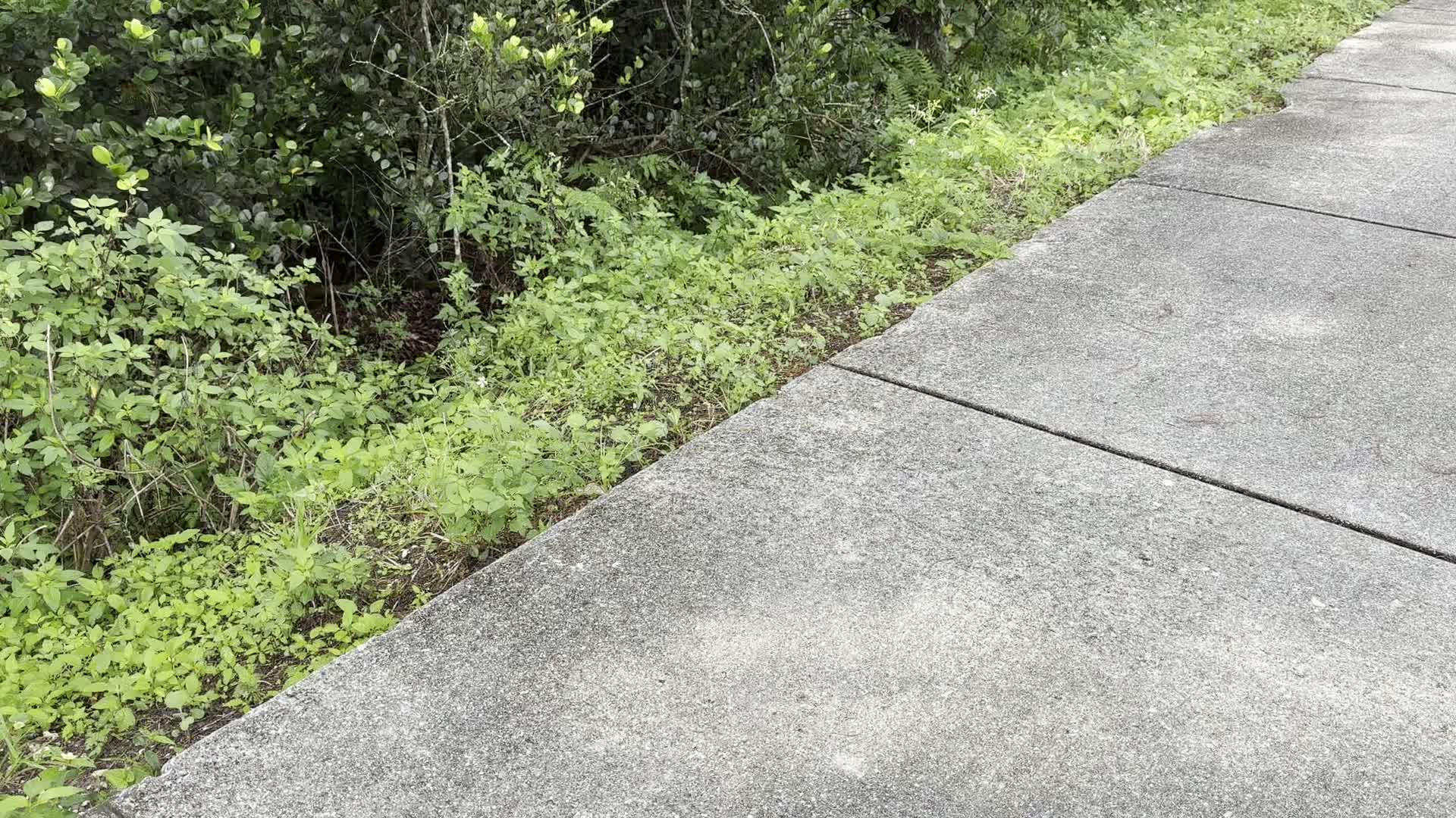 Shared post On the Lighter side of things…