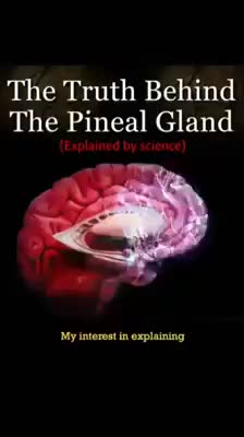 Shared post - The truth behind Pineal Gland