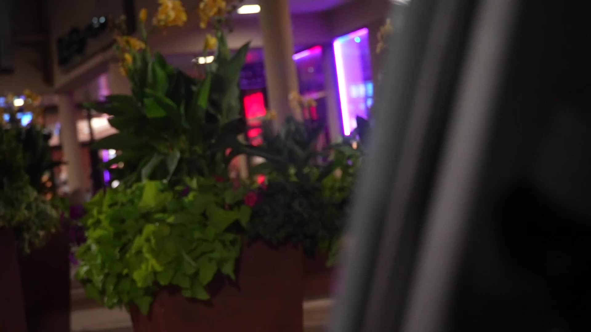 35 y/o INSUFFERABLE Pred WEEPS When Police Arrive To His Movie Date With A 13 y/o (Port Jeff, NY)