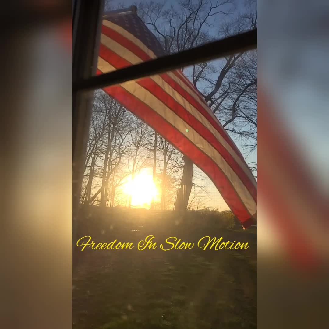 Freedom In Slow Motion
